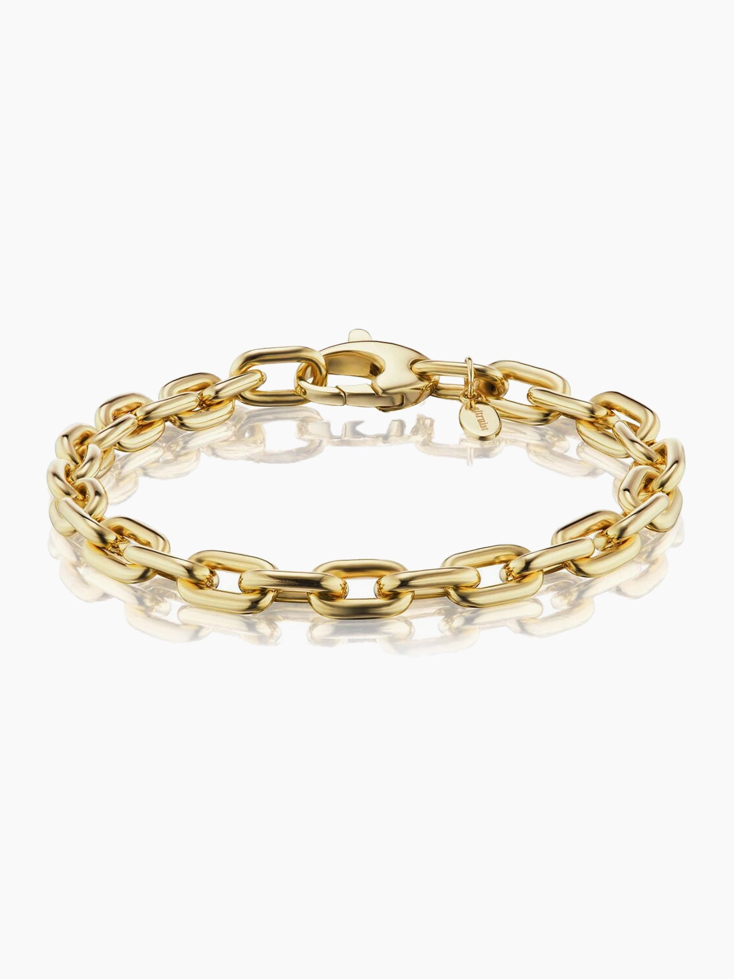 ALTRUIST Hudson Graduated Chain Anklet