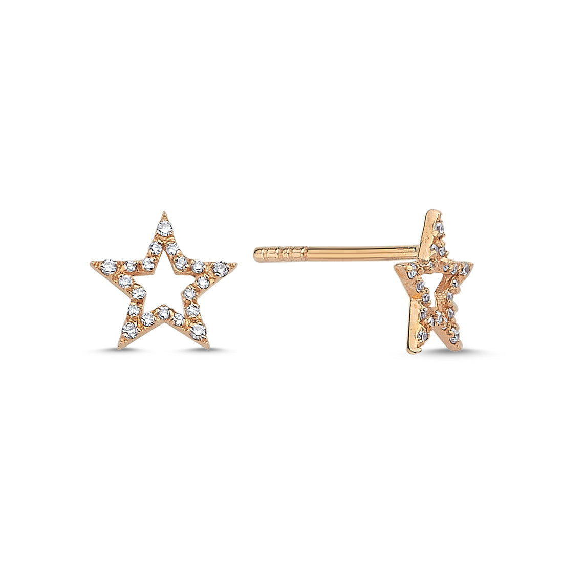 ECCE Star Diamond Earring  &amp; Nort Star Back